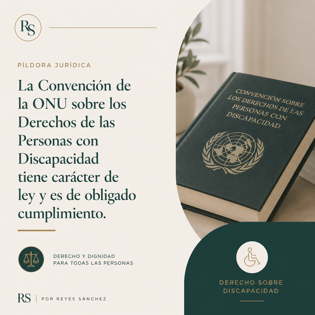 derechodiscapacidad
